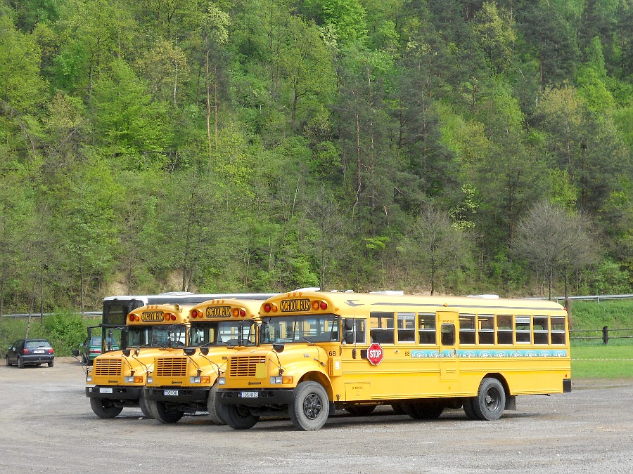 International 3800 T444E / Blue Bird Conventi 68 Ba�towski Park Jurajski