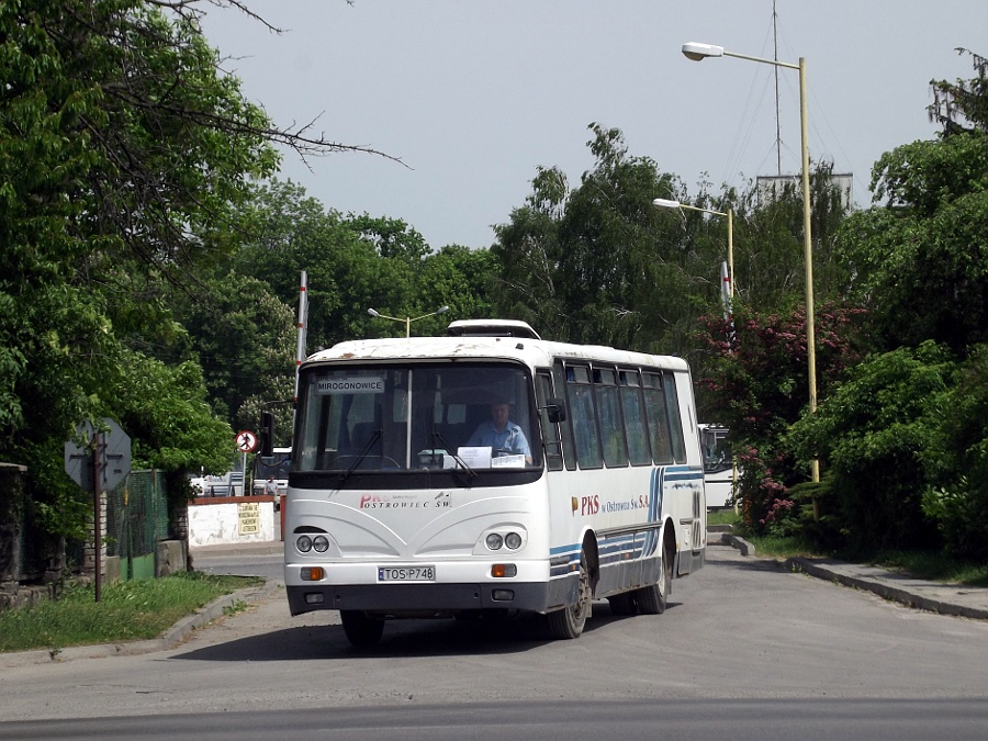 Autosan H9.21 TOS P748 PKS Ostrowiec �w.