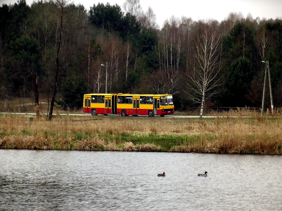 Ikarus 280 215 MPK Kielce