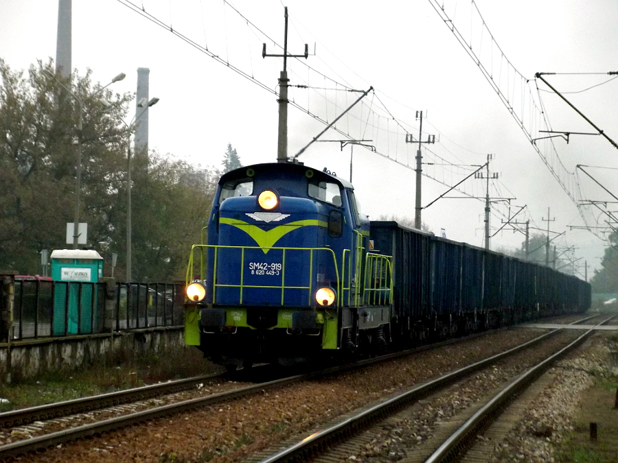 SM42 919 PKP Cargo