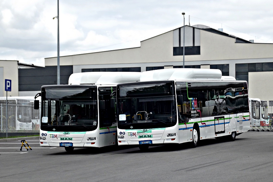 MAN Lions City CNG S 1HET MAN Starachowice