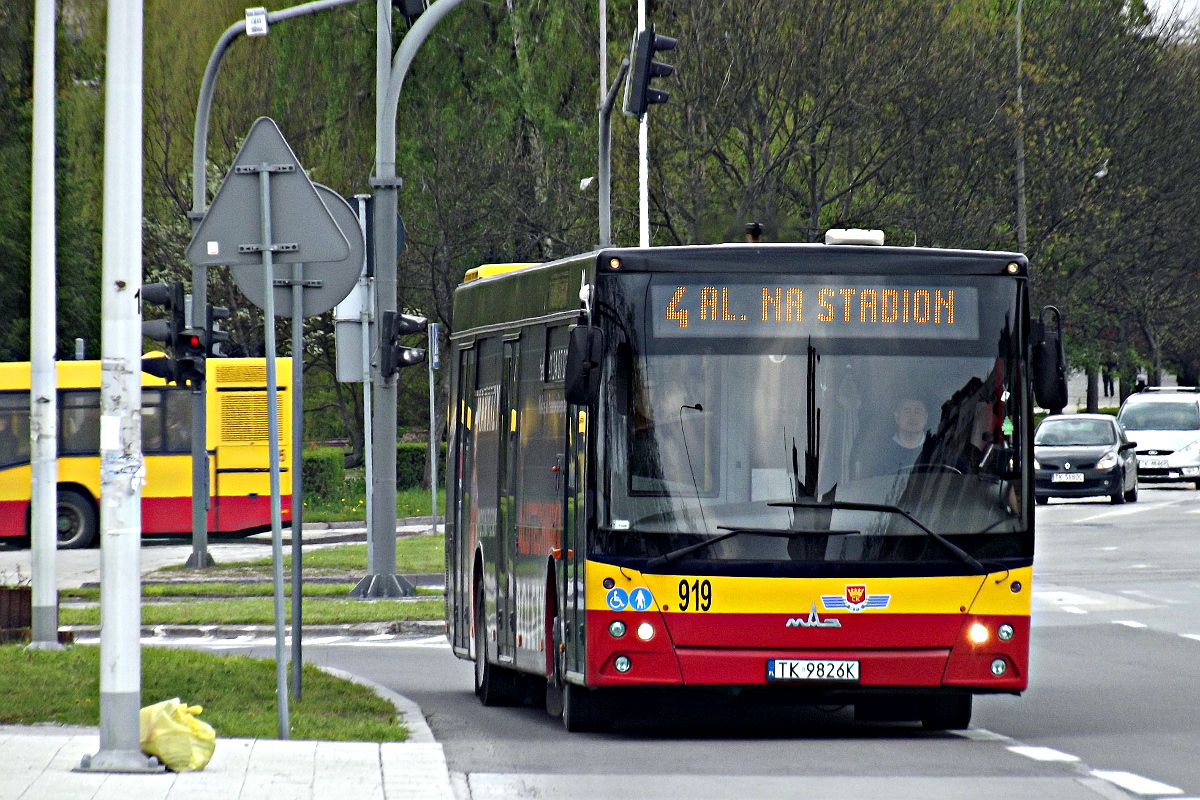 MAZ 203 919 MPK Kielce
