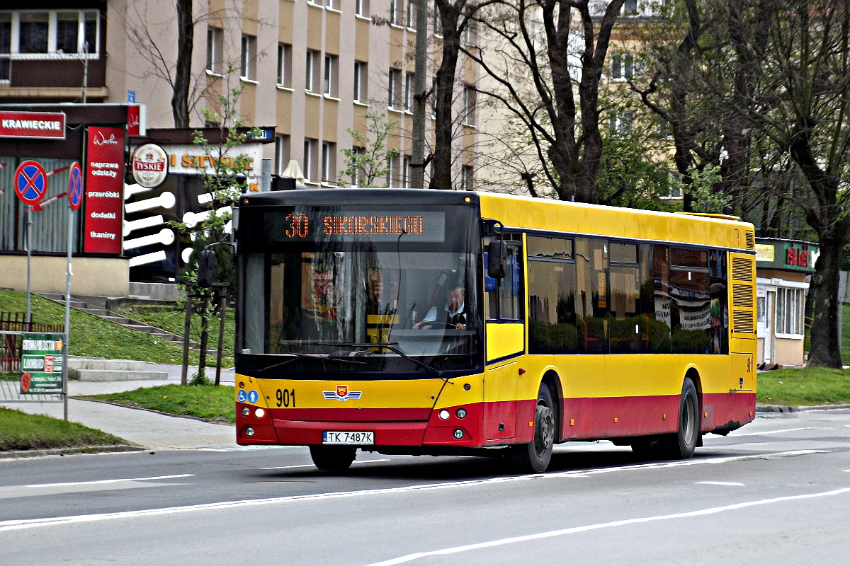 MAZ 203 901 MPK Kielce