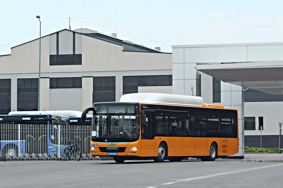 MAN Lions City CNG S9 KOA MAN Starachowice