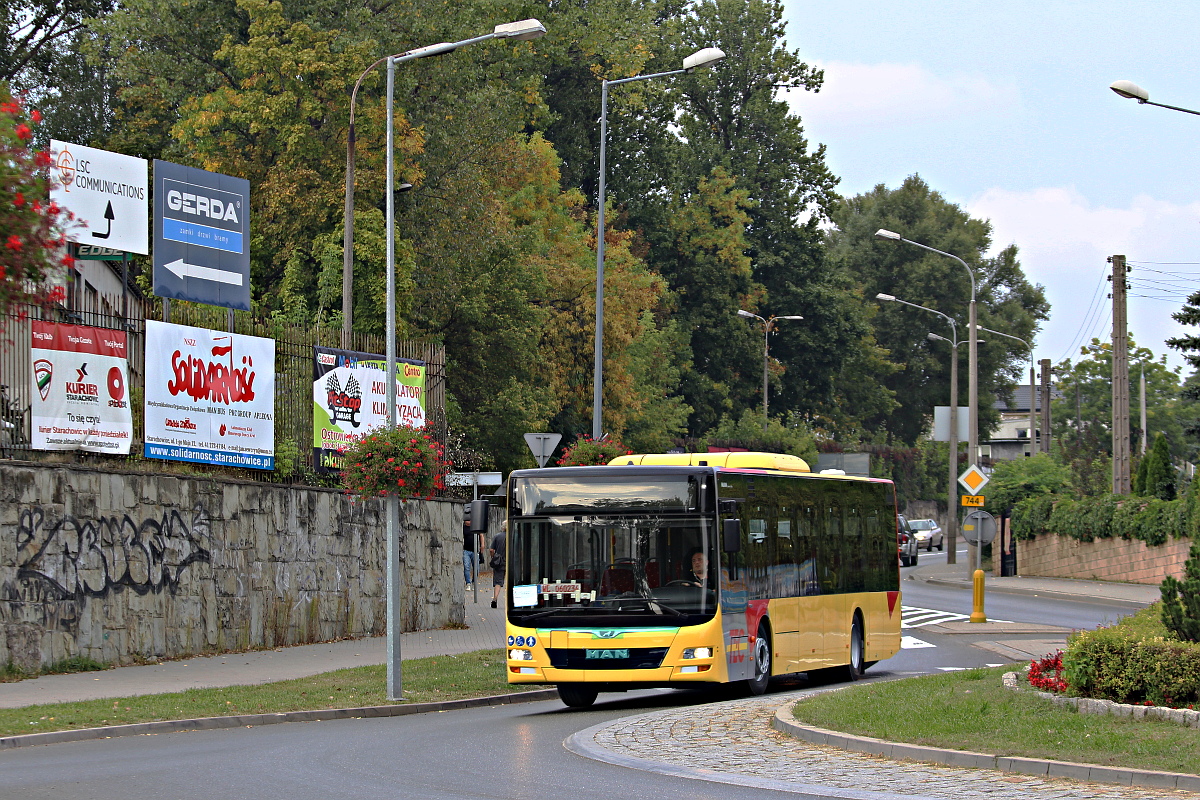MAN Lions City WL 060234 MAN Starachowice