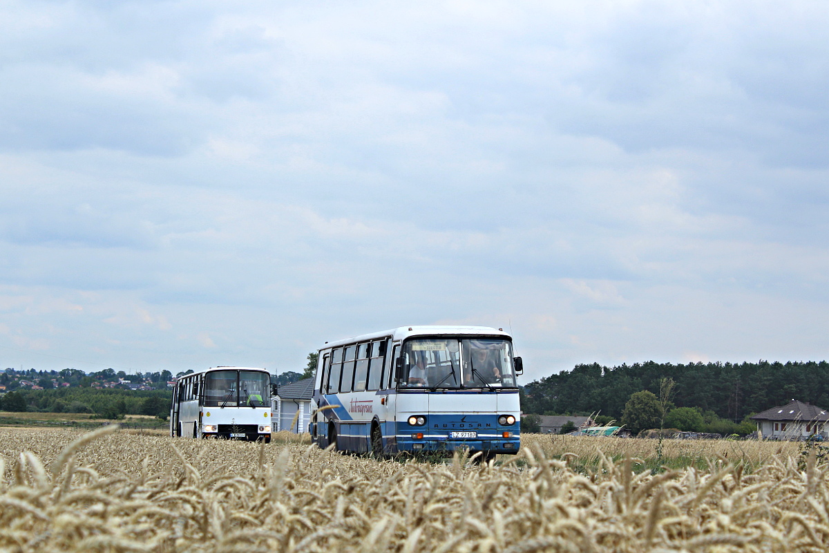 Autosan H9.21.41 LZ 97187 Autonaprawa - Zamo��
