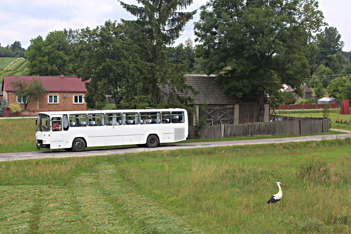 Sanos S415 LZ 10794 Transport Osobowo-Ci�arowy R. Z�oma�czuk - Zamo��