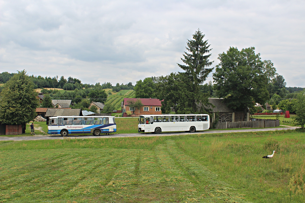 Autosan H9.21.41 LZ 97187 Autonaprawa - Zamo��