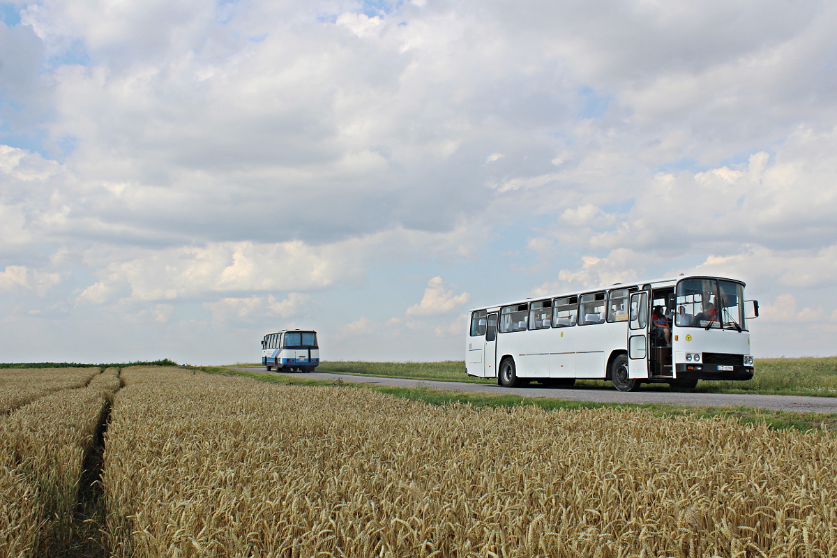 Sanos S415 LZ 10794 Transport Osobowo-Ci�arowy R. Z�oma�czuk - Zamo��