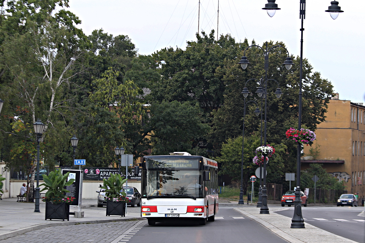MAN NLxx3 54 MZK Piotrk�w Trybunalski
