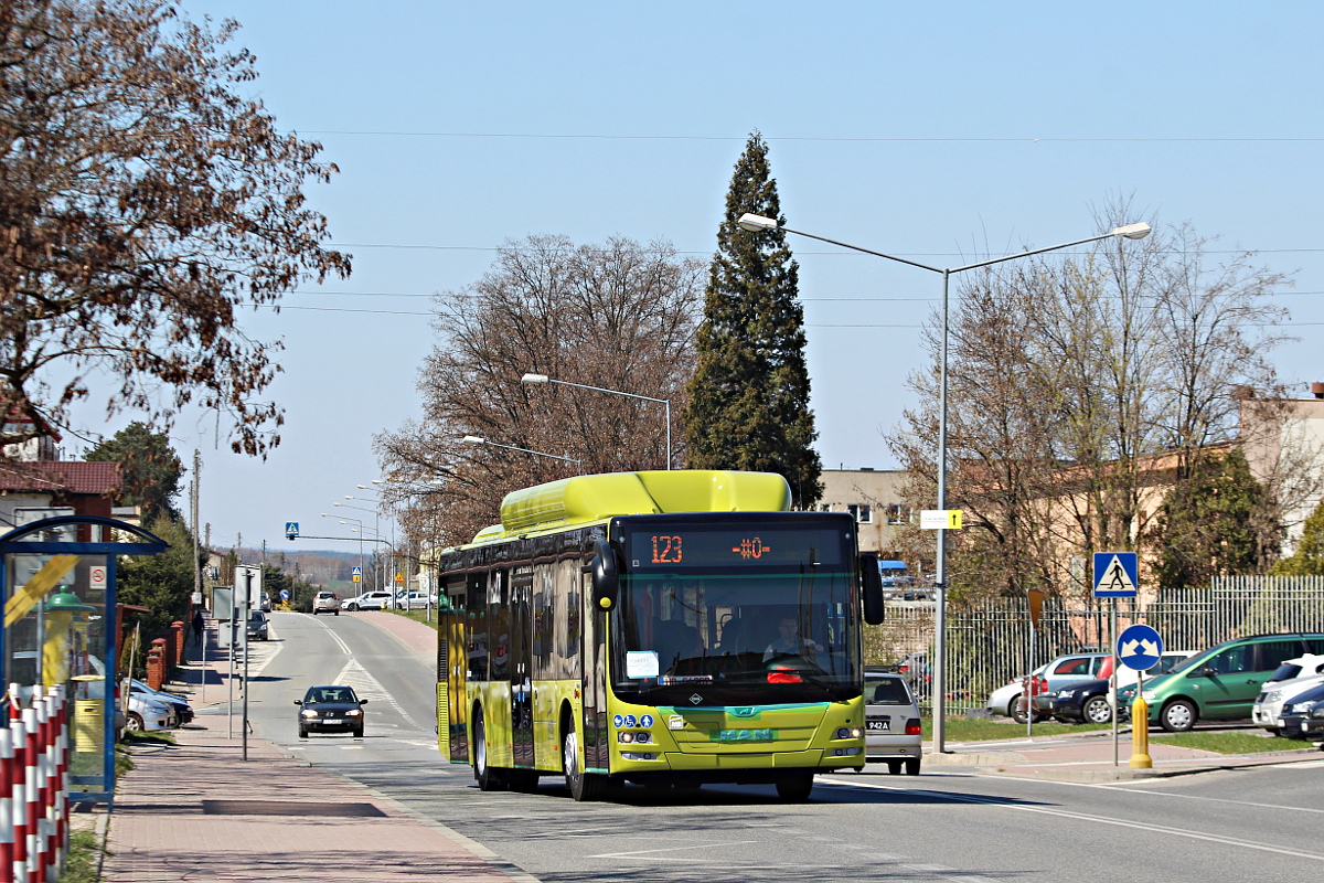 MAN Lions City CNG ? MAN Starachowice