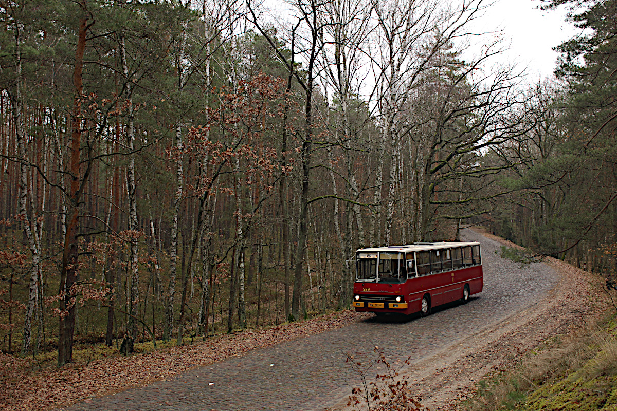 Ikarus 260 289 KMKM Warszawa