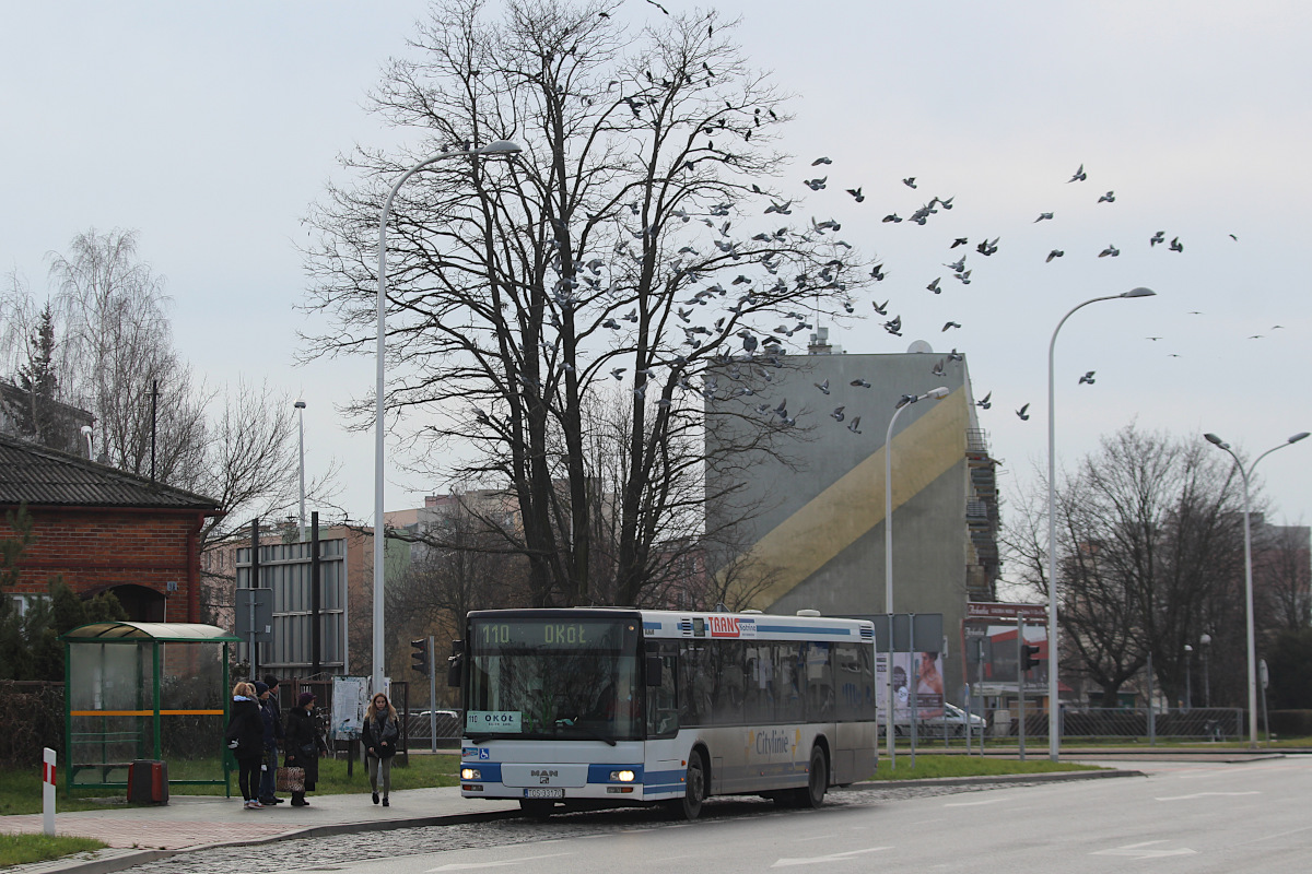 MAN NLxx3 TOS 33170 Trans Katrina �ukasz B�k - Ostrowiec �w.