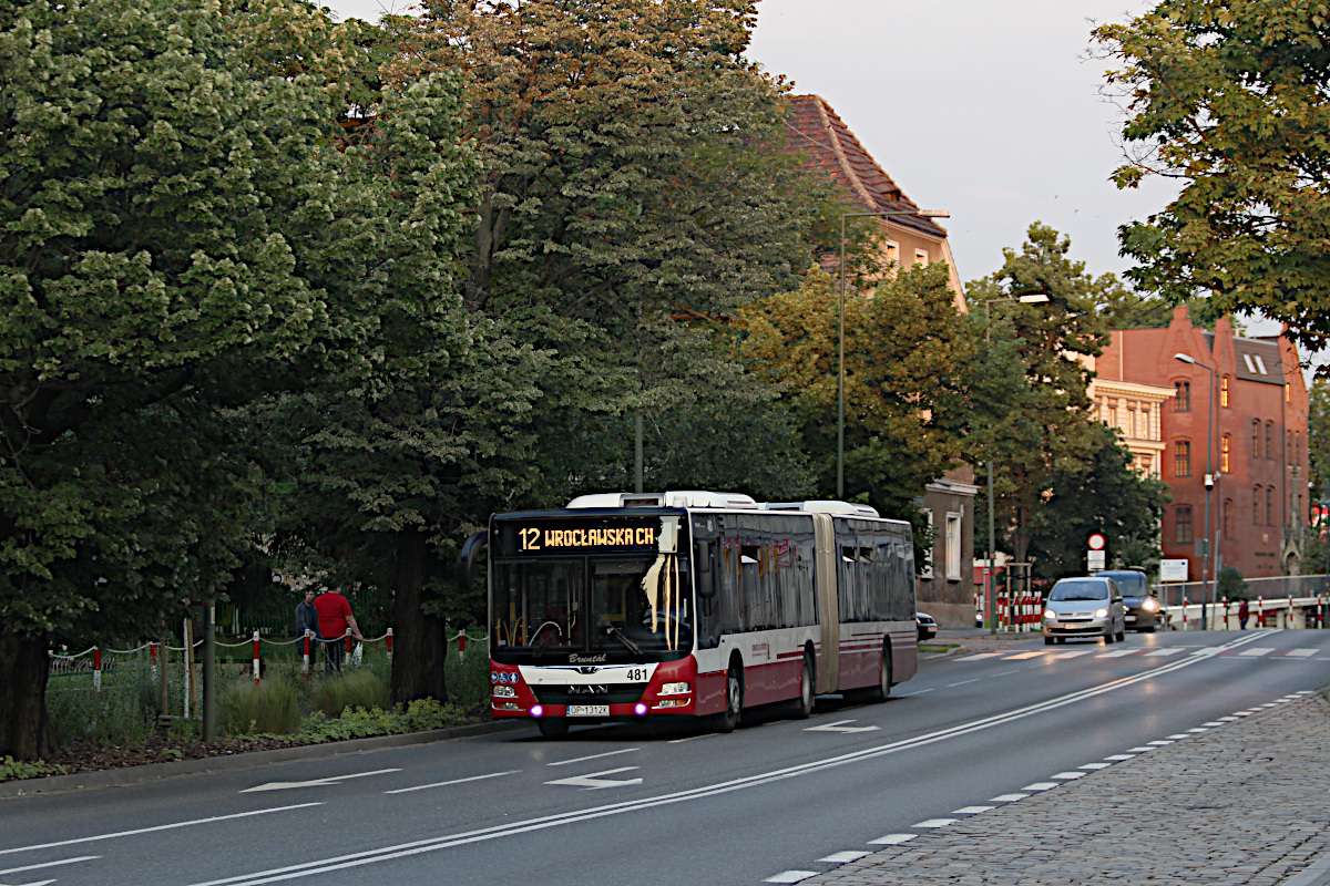 MAN Lions City G 481 MZK Opole