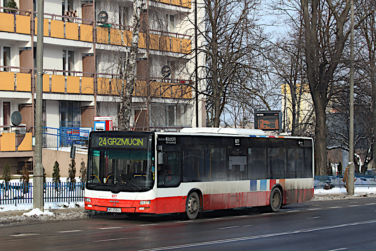 MAN Lions City 877 MPK Radom
