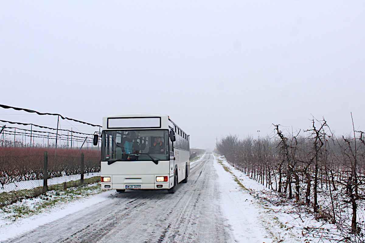 Jelcz L120 WGR 30FF PKS Gr�jec