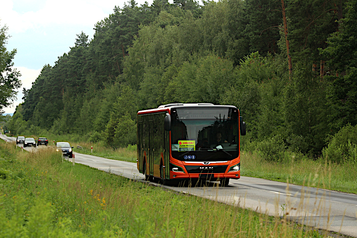 MAN Lions City 12C Efficient Hybrid T12 00P68 MPK Ostrowiec �wi�tokrzyski