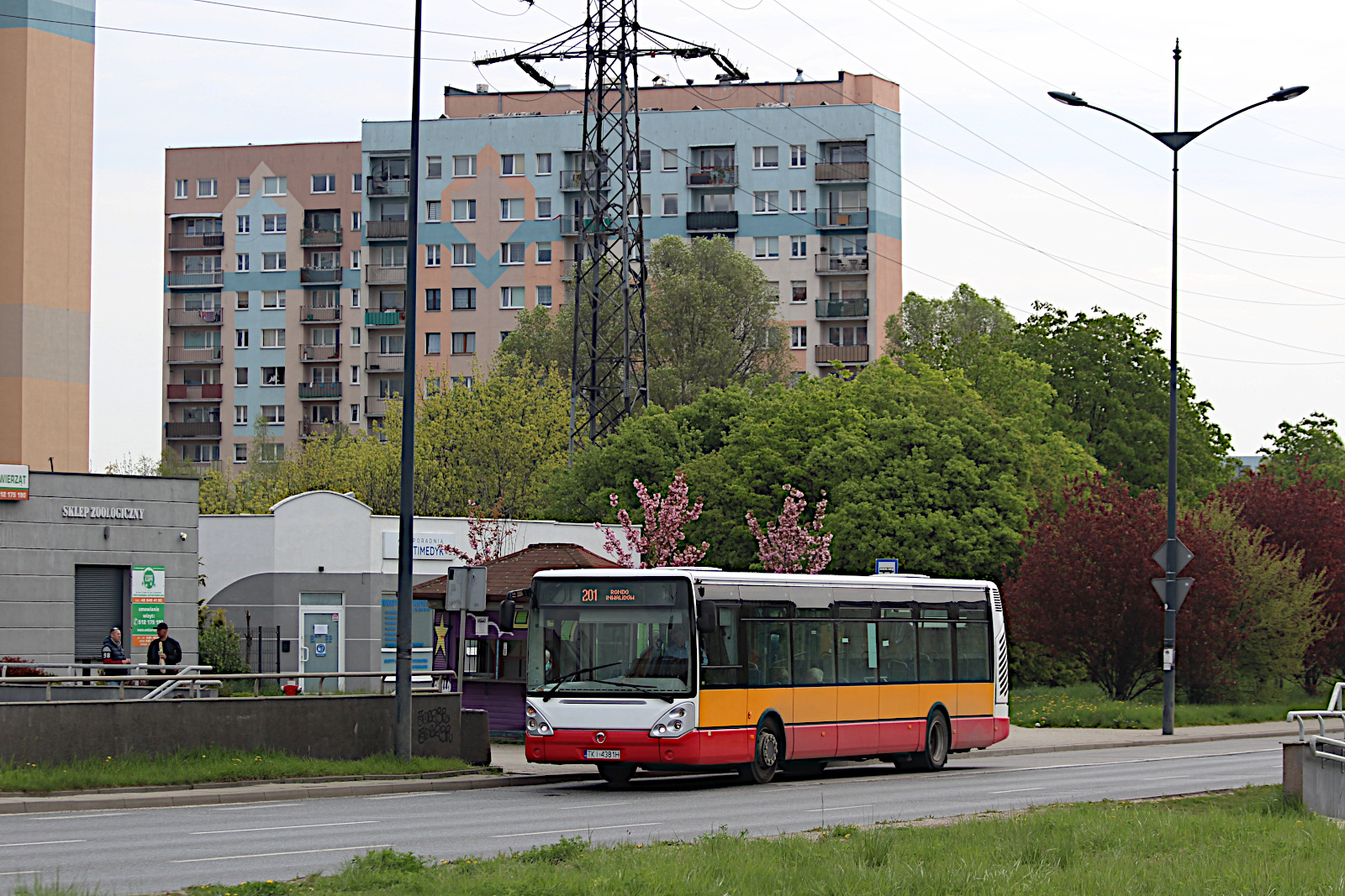 Irisbus Citelis 12M TKI 4381H Muszkieter Us�ugi Handel Transport Anna Chmiel