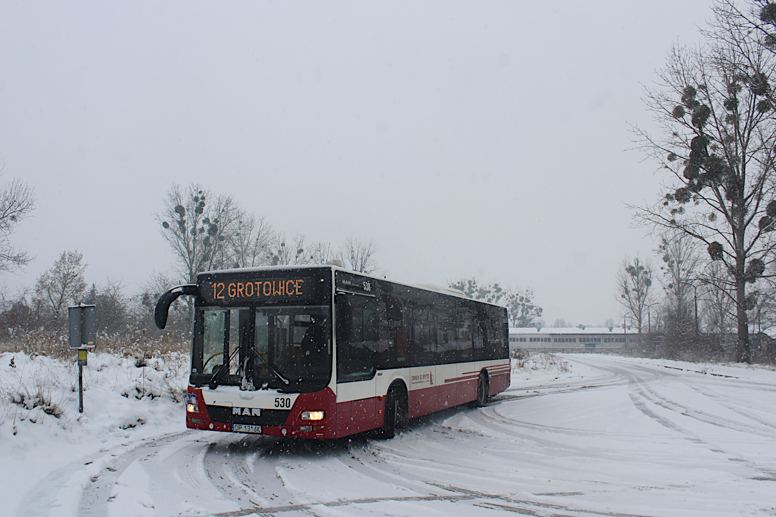 MAN Lions City 530 MZK Opole