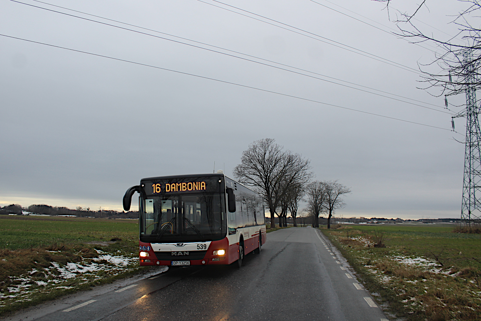 MAN Lions City 539 MZK Opole