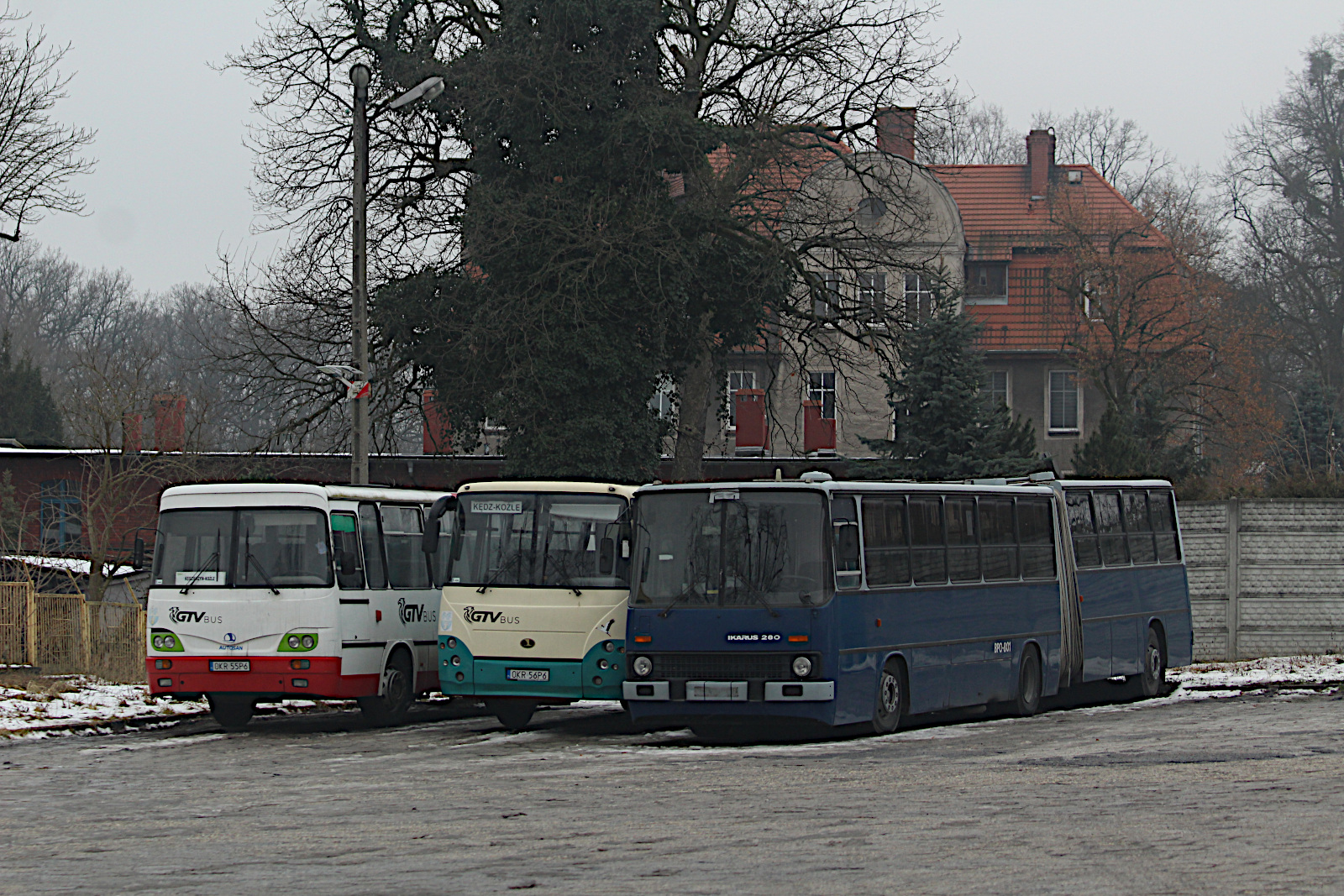 Ikarus 280 OKR 5JK9 GTV Bus Polska