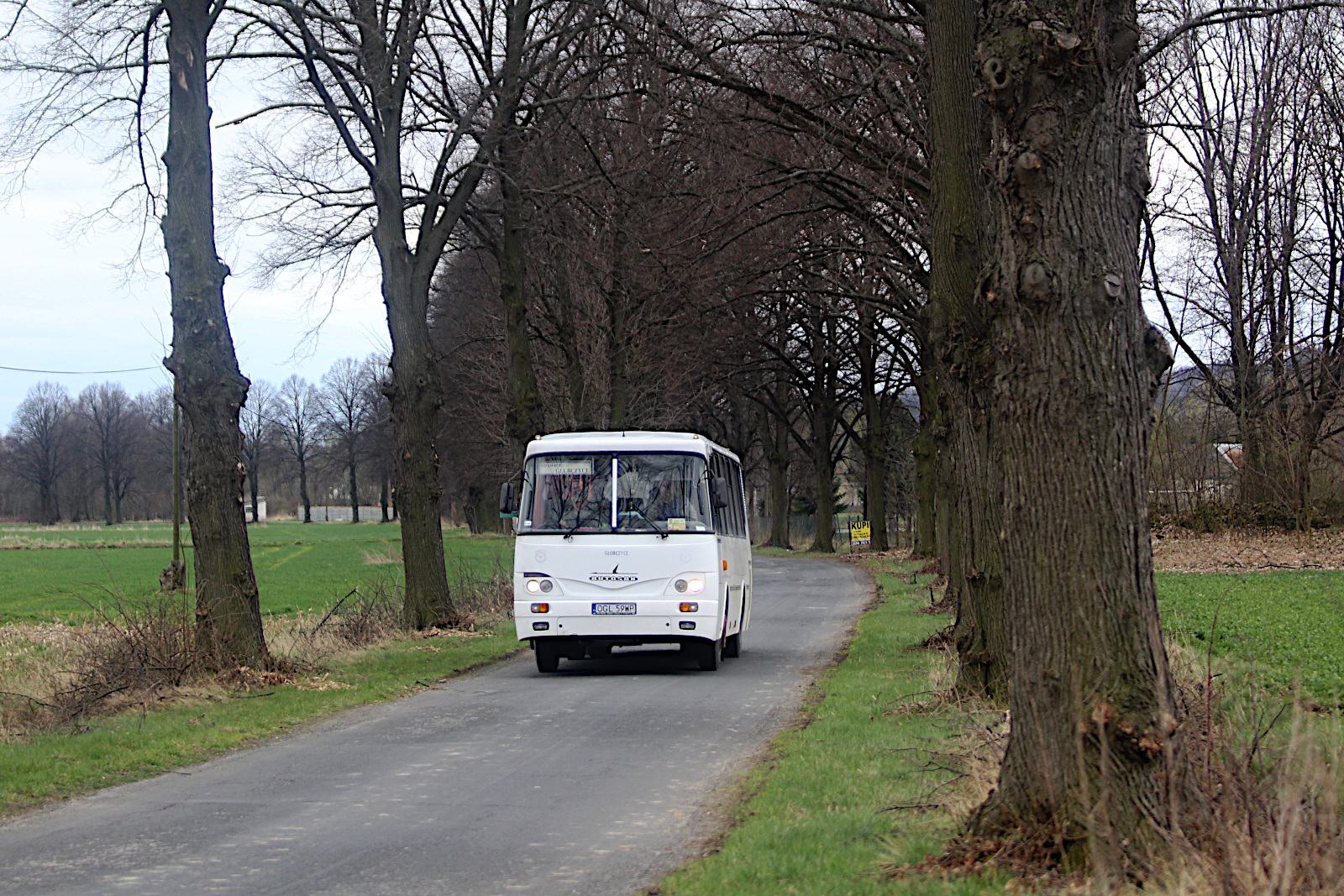 Autosan H9.21 OGL 59WP PKS G�ubczyce