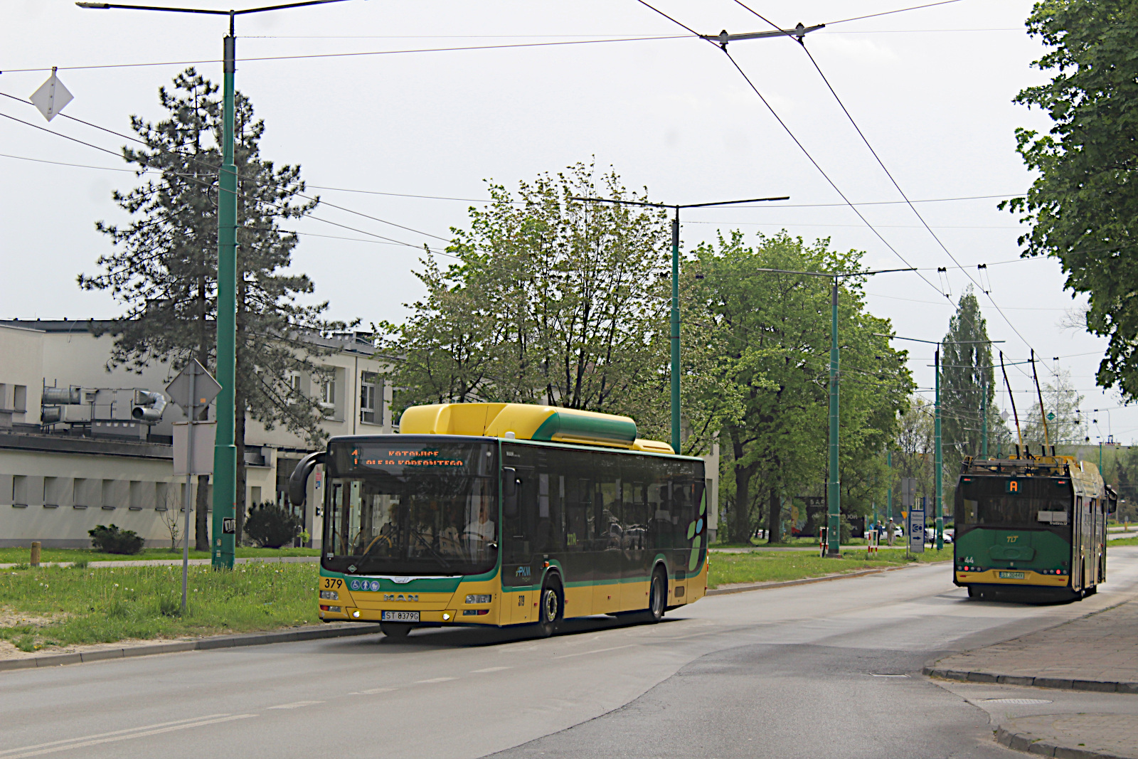 MAN Lions City CNG 379 PKM Tychy