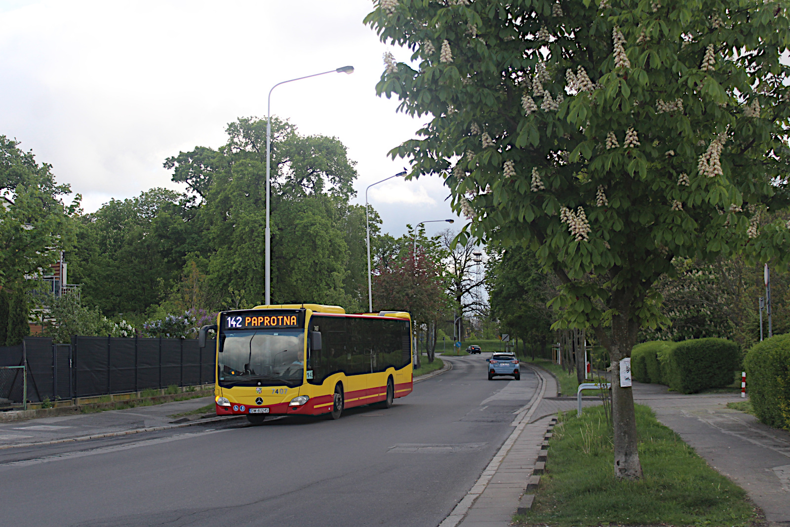 Mercedes-Benz O530 C2 7407 MPK Wroc�aw