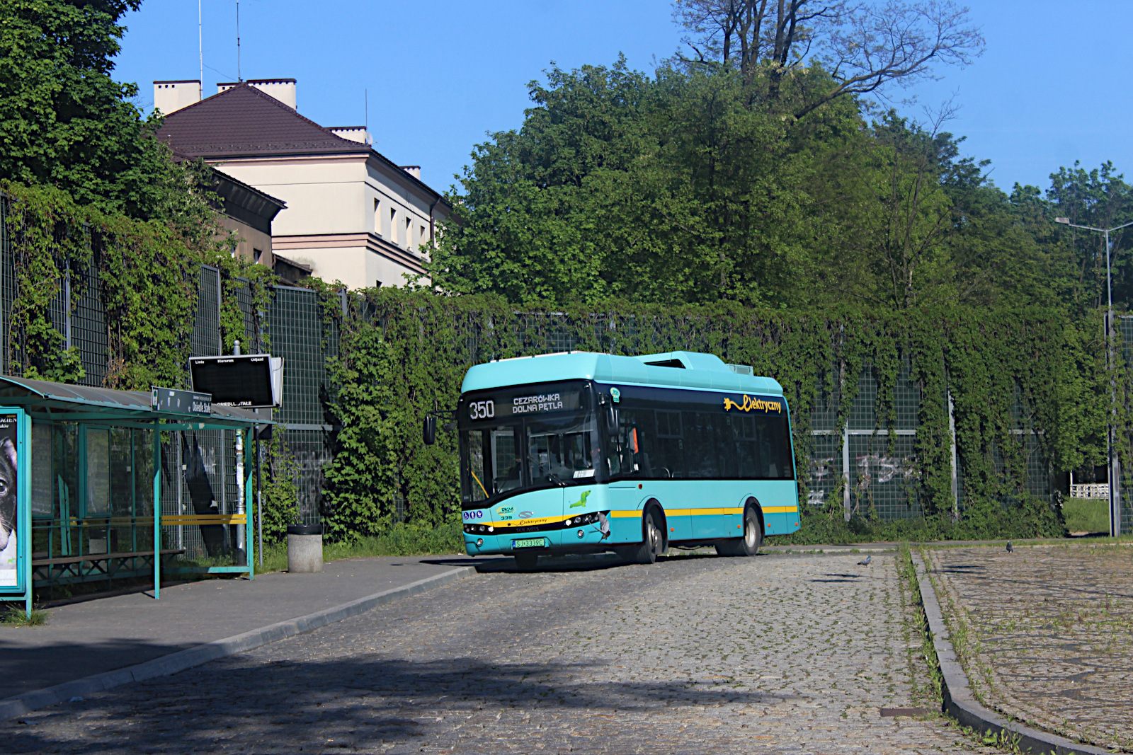 Solaris Urbino 8,9 LE electric 339 PKM Jaworzno
