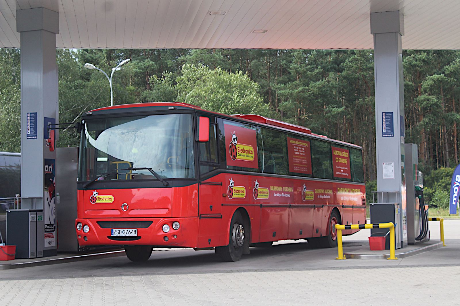 Karosa C956.1074 ZSD 37648 Aran Artur Miko�ajczyk - Po�czyn-Zdr�j
