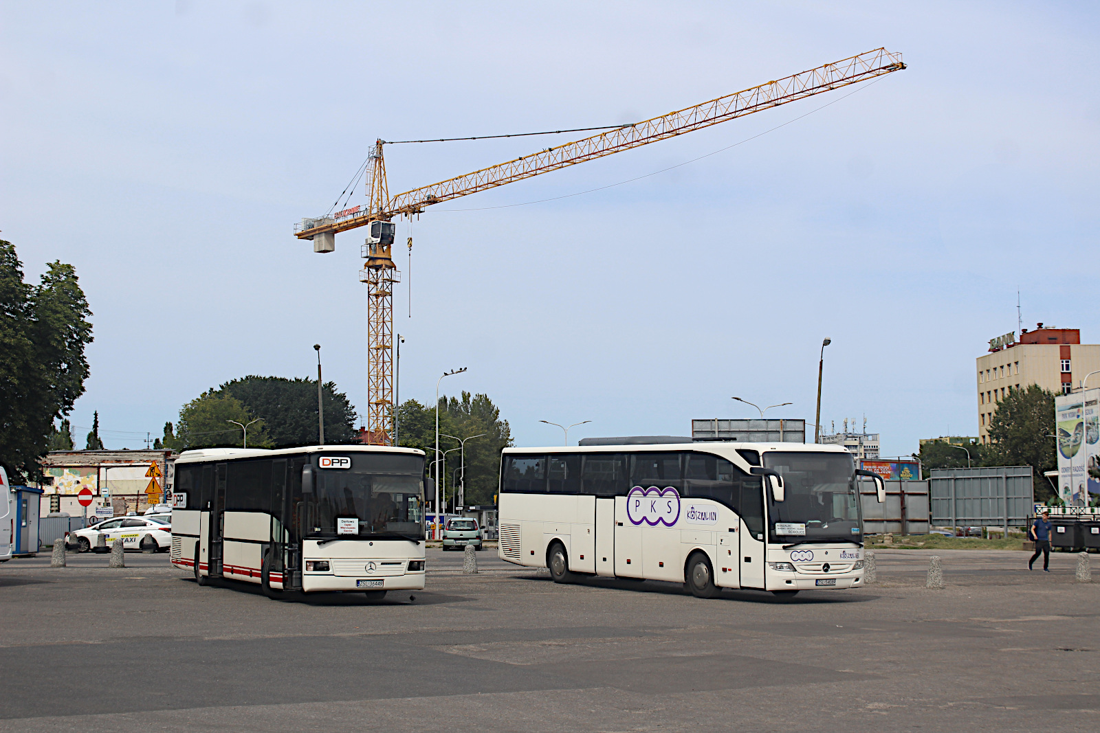 Mercedes-Benz O550 ZSL 36449 Dar�owskie Przedsi�biorstwo Przewozowe T. Stro�ski