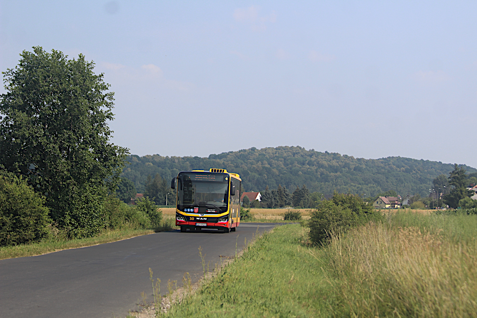 MAN Lions City 12C Efficient Hybrid 30 MZK Nysa