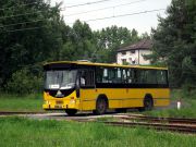 miniaturka