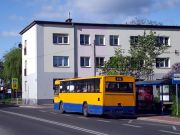 miniaturka