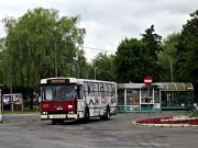 miniaturka