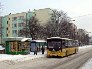 miniaturka