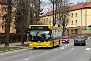 miniaturka