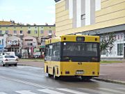 miniaturka