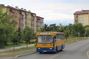 miniaturka
