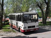 miniaturka